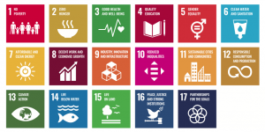 Sustainable Development Goals (SDGs)